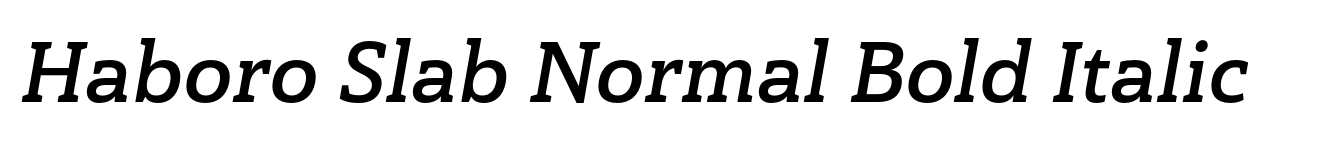 Haboro Slab Normal Bold Italic